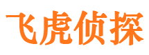 齐河侦探公司